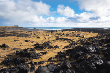 View of a Lava Field along the Coast of Iceland on Misty Autumn Morning