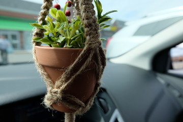 A faux (fake) plant is being hung from a rear view mirror on a jute twine macrame in a car. Blurred background.