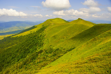 Beautiful alpine meadow in Mountain Pikui range. East Beskids. Bieszczady. Ukraine © Szymon Bartosz