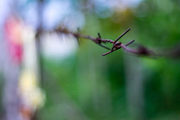 barbed wire