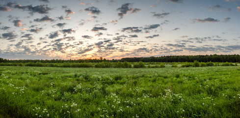 landscape with field and sunrise