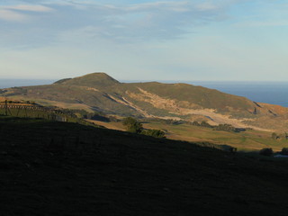 New Zealand. Nature in the South island near of Dunedin