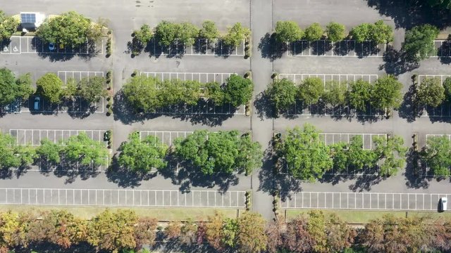 Aerial view of paking space with cars, white lines and green trees