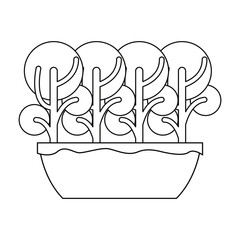 outdoors trees forest on white background