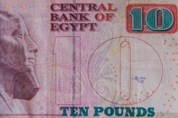 Macro shot of ten egyptian pounds bill