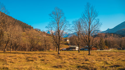 Beautiful alpine view near the Hintersee-Ramsau-Bavaria-Germany