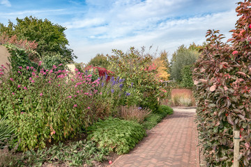 Fototapeta na wymiar Footpath through a beautiful Dutch autumn garden