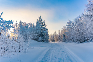 Winter landscape. Yamalo-Nenets Autonomous district.
