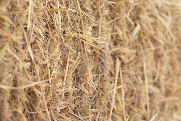 Soft focus of dry straw texture