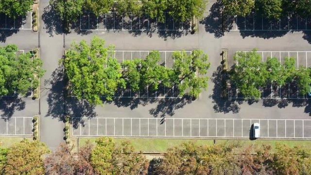 Aerial view of paking space with cars, white lines and green trees