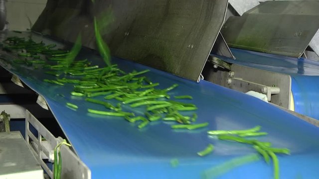 The Green Beans Processing and Packaging Line, is a process through which the raw material is treated and packed for storage and sale. Green beans are processed at the plant.