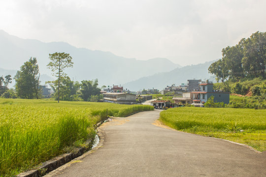 gray asphalt road among green rice fields against the background of houses and mountain silhouettes