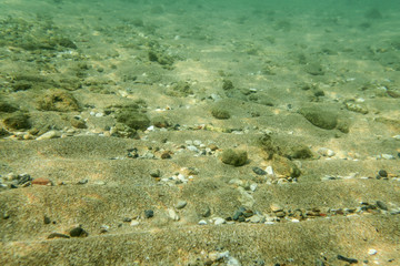 Underwater photo, sea bottom surface, sand with small rocks. Abstract marine background.