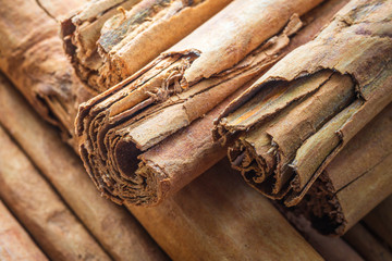 macro, spices, natural Ceylon cinnamon, sticks, close-up