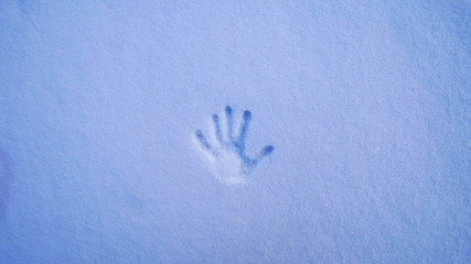trail of a human hand palm on snow top view