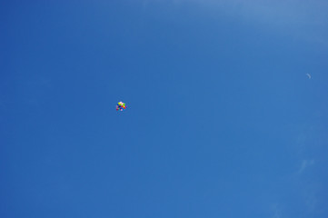 Balloons flying high in the sky. Backgrounds with copy space