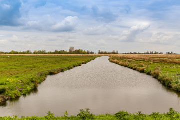 rural landscape with ditch filled with water and green field