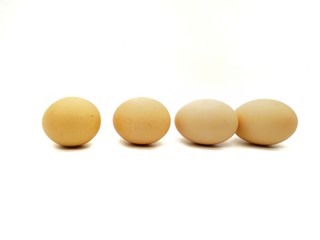 Four chicken eggs - 239882257