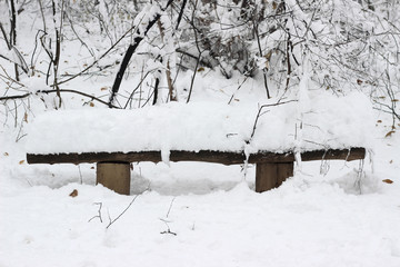 Snow covered park bench winter