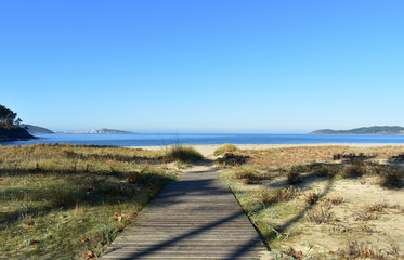 Beach with boardwalk, grass and vegetation in sand dunes. Blue sea, sunny day, clear sky. Galicia, Spain.