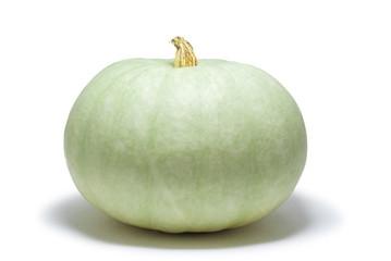 pumpkin on white background