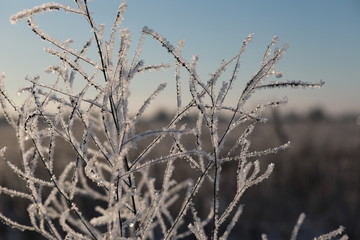Winter background with macro frost