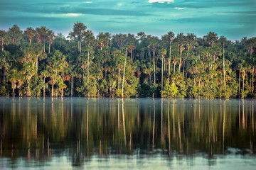Reflections of forest trees in the tranquil lake of Sandoval, Peru