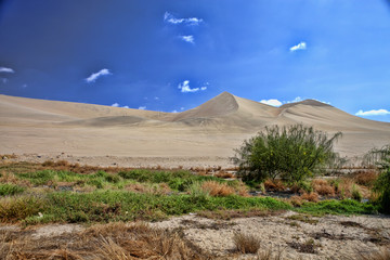 Sand dunes in Paracas National Park, Peru