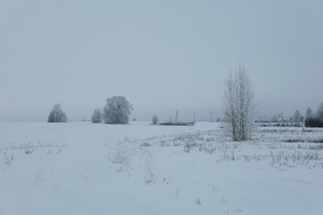 Winter landscape