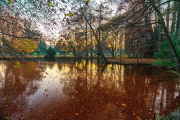 natal em mil&atilde;o