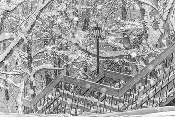  Wooden staircase in a snowy park, black-white photography