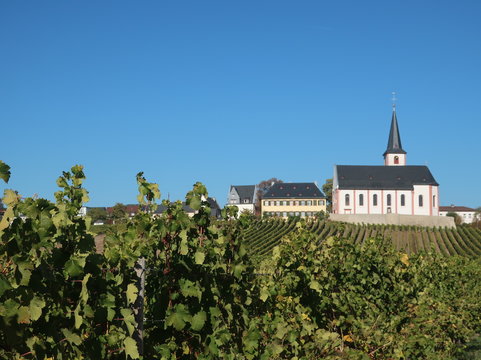 Hochheim am Main