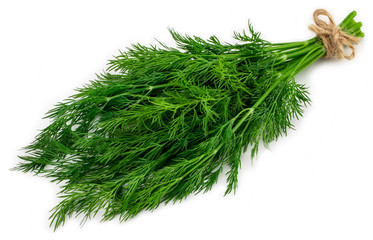 bunch fresh green dill isolated on white background