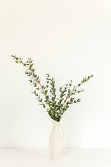 Branches of eucalyptus in vase on table on light background. Home decor. Blog, website or social media concept .