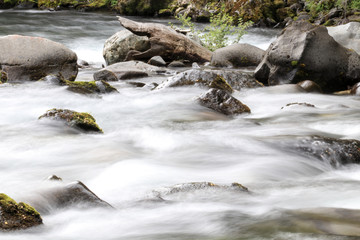 Naklejka na ściany i meble stream in forest river