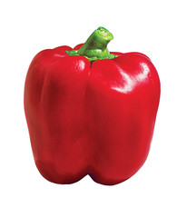 bell pepper red isolated on white background