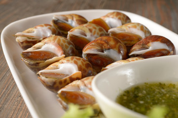 Seafood snail sea,Thai food seafood