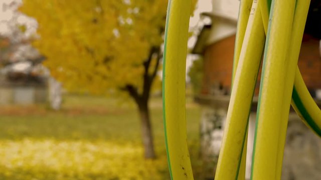 Nostalgic autumn, yellow hose-pipe in yellow garden