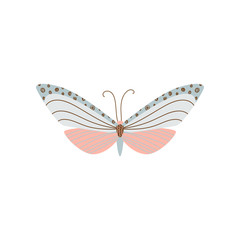 Beautiful, multi-colored butterfly with an unusual shape of the wings and patterns on them.