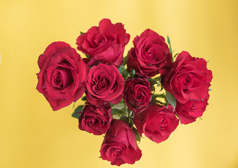 Top view of red roses against yellow background (selective focus)