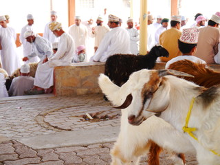 scenery of the traditional cattle market, held early morning in Nizwa with men and women wearing...
