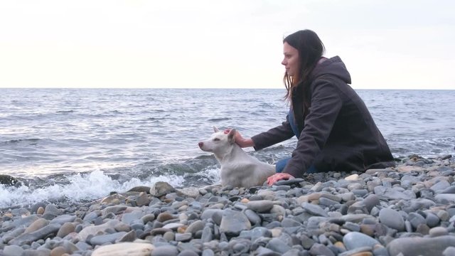 Young woman is sitting on the stone beach by the sea with her white dog.
