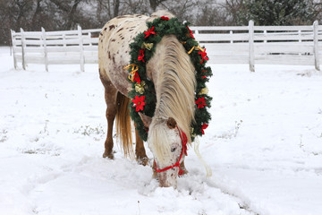 Dreamy christmas image of asaddle horse wearing a beautiful wreath in snowfall