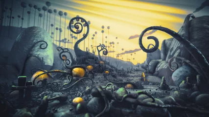 Früchte © Maciej
