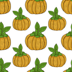 Garcinia. Fetus. Sketch. Template. Background, wallpaper, seamless, texture. Color