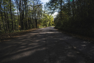 Asphalt road at the forest in autumn.