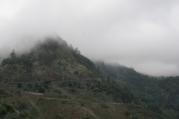 Landschaft Madeira Portugal