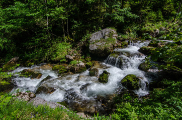 Naklejka na ściany i meble wildbach mit felsen im wald