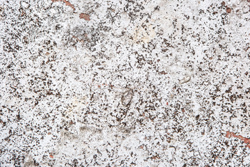 Old And Weathered White Light Textured Blank Wall. Plastered Surface Of The Building With A Whitewash Or Stucco. Dirty Surface Of Building With A Shattered Texture. Fragment Of Facade Of A Building.