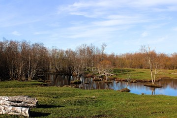 rural landscape with river and trees
